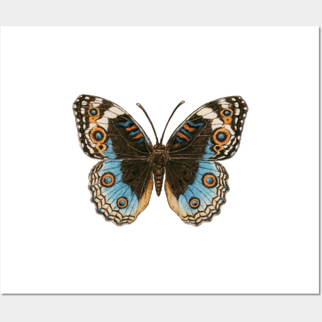 Blue Pansy Butterfly Wall Art by katerinamk